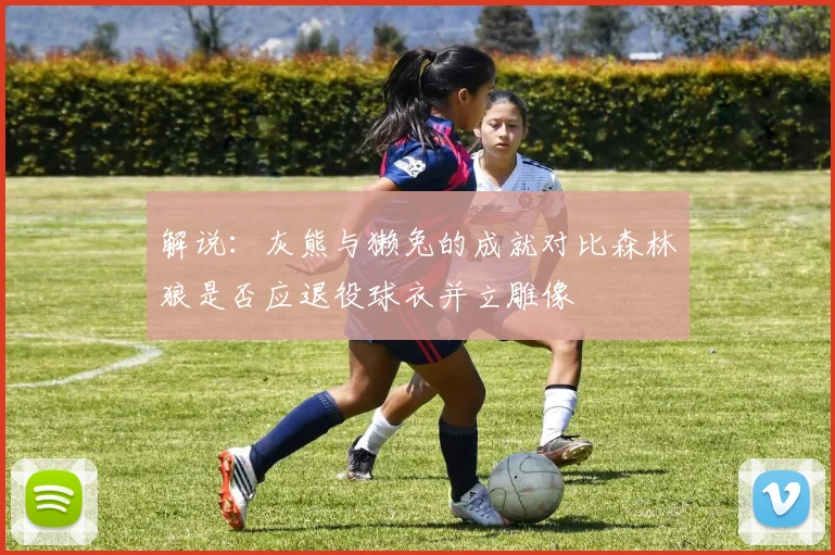 解说：灰熊与獭兔的成就对比森林狼是否应退役球衣并立雕像