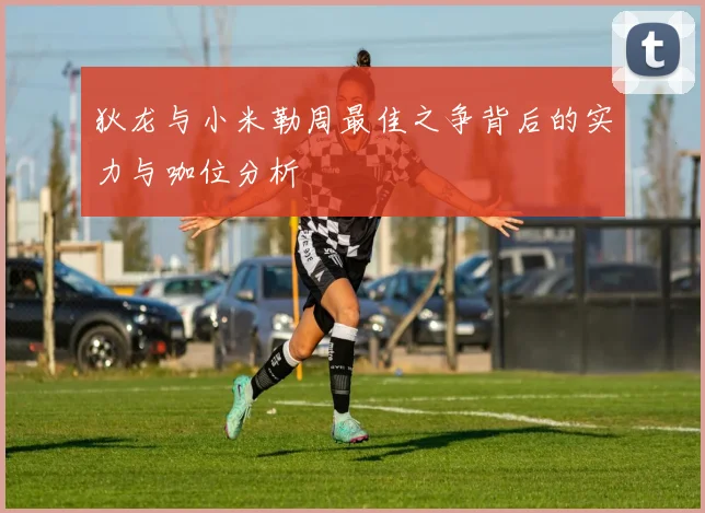 狄龙与小米勒周最佳之争背后的实力与咖位分析